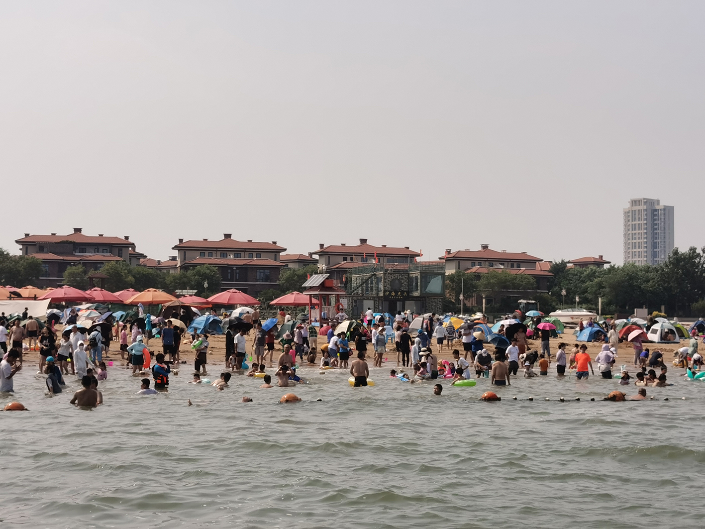 图二-0.jpg